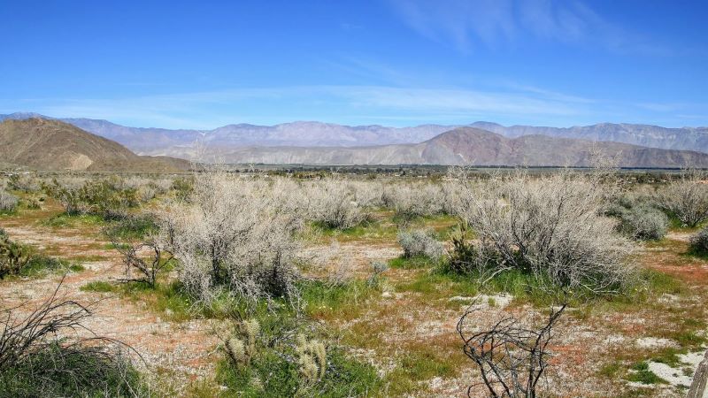 Anza Borrego