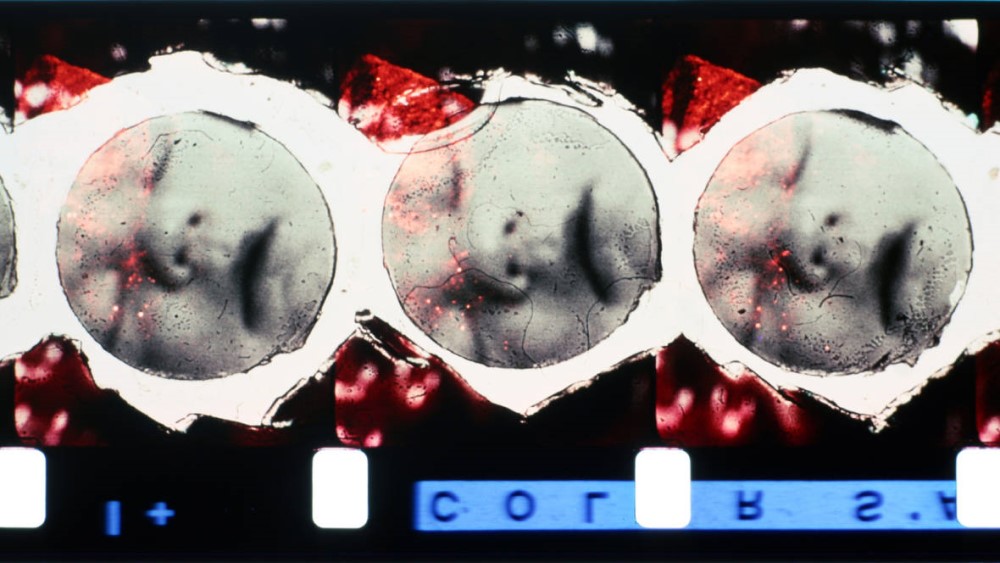 Stan Brakhage - abstract film