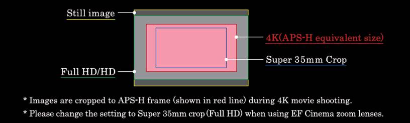 Canon 1DC specs Canon 1DC specs