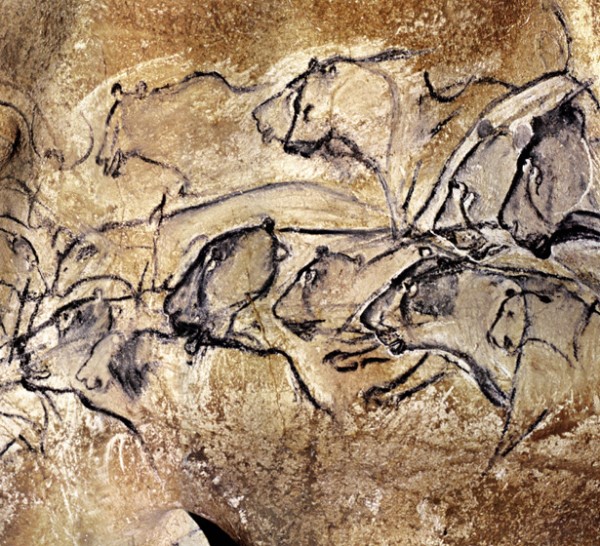 Black and white cave painting Chauvet Cave in France