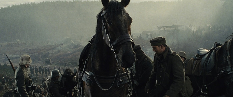 War Horse 